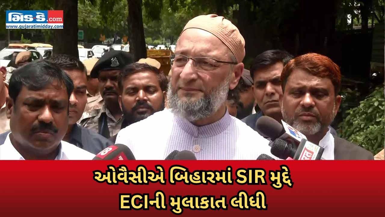 “BJP-RSS ગેરસમજ ફેલાવે છે ”: ઓવૈસીએ ECI સાથે બેઠક બાદ વિપક્ષ પર નિશાન સાધ્યું