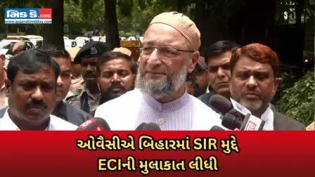 “BJP-RSS ગેરસમજ ફેલાવે છે ”: ઓવૈસીએ ECI સાથે બેઠક બાદ વિપક્ષ પર નિશાન સાધ્યું