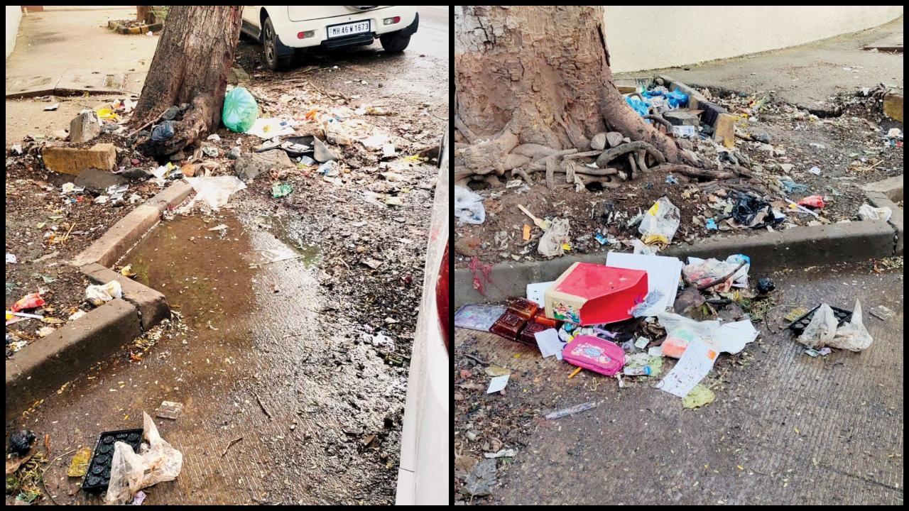 સાયનની ગલીઓમાં જમા થયેલી ગંદકી.