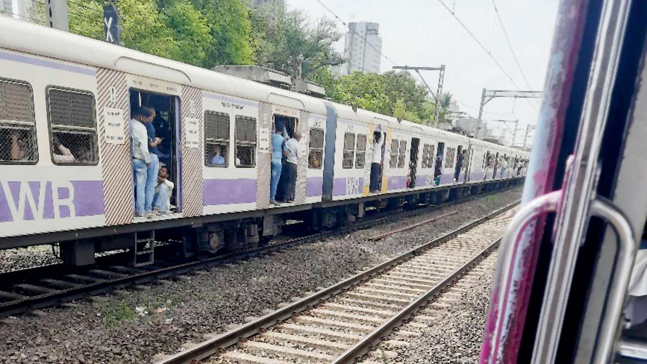 પ્રતીકાત્મક ફાઇલ તસવીર