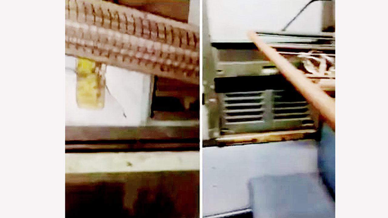 વાયરલ વીડિયોમાંથી સ્ક્રીન શૉટ