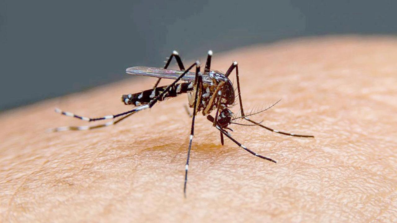 પ્રતીકાત્મક તસવીર