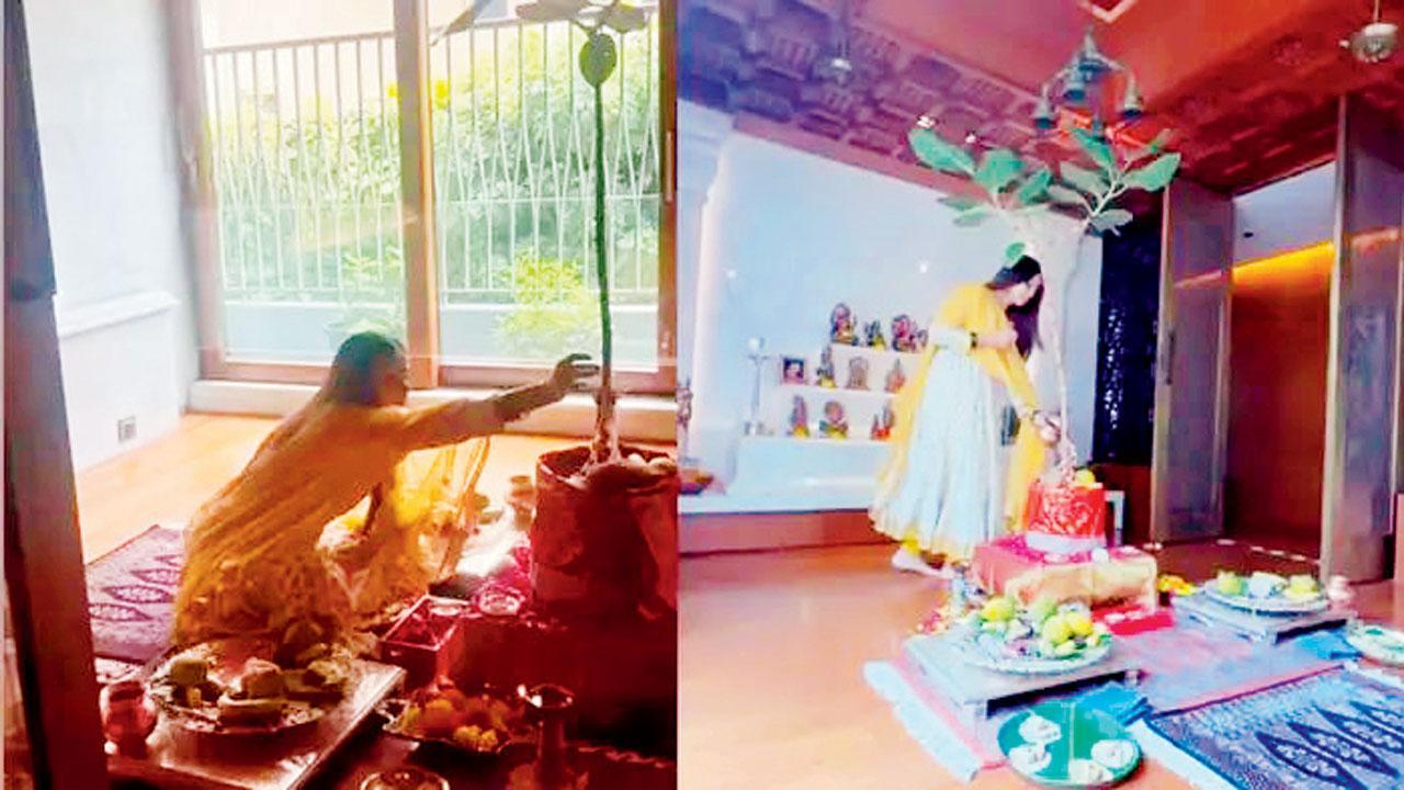 તસવીર સૌજન્ય : સોશ્યલ મીડિયા