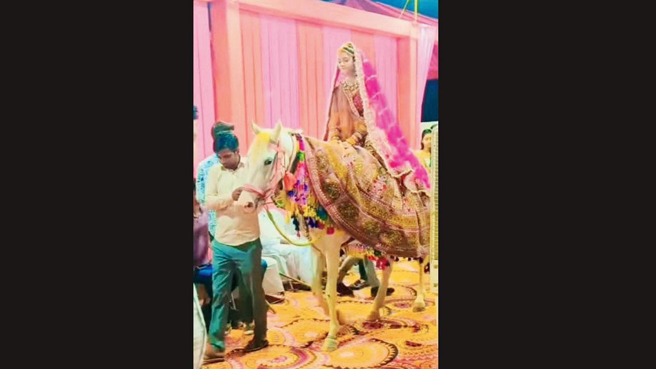 દુલ્હન પોતાનાં લગ્નમાં ઘોડી પર ચડીને આવે છે