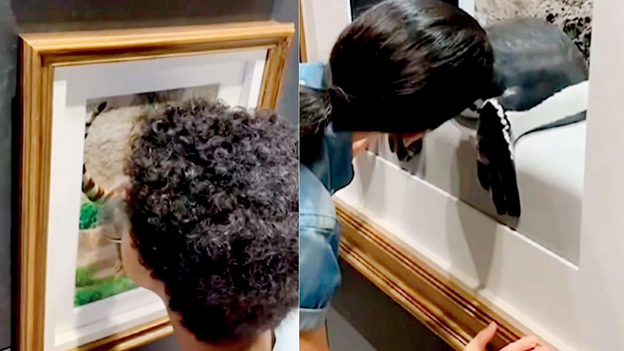 આ જૅપનીઝ મ્યુઝિયમમાં લોકો પ્રાણીઓની પૂંઠ સૂંઘવા જાય છે