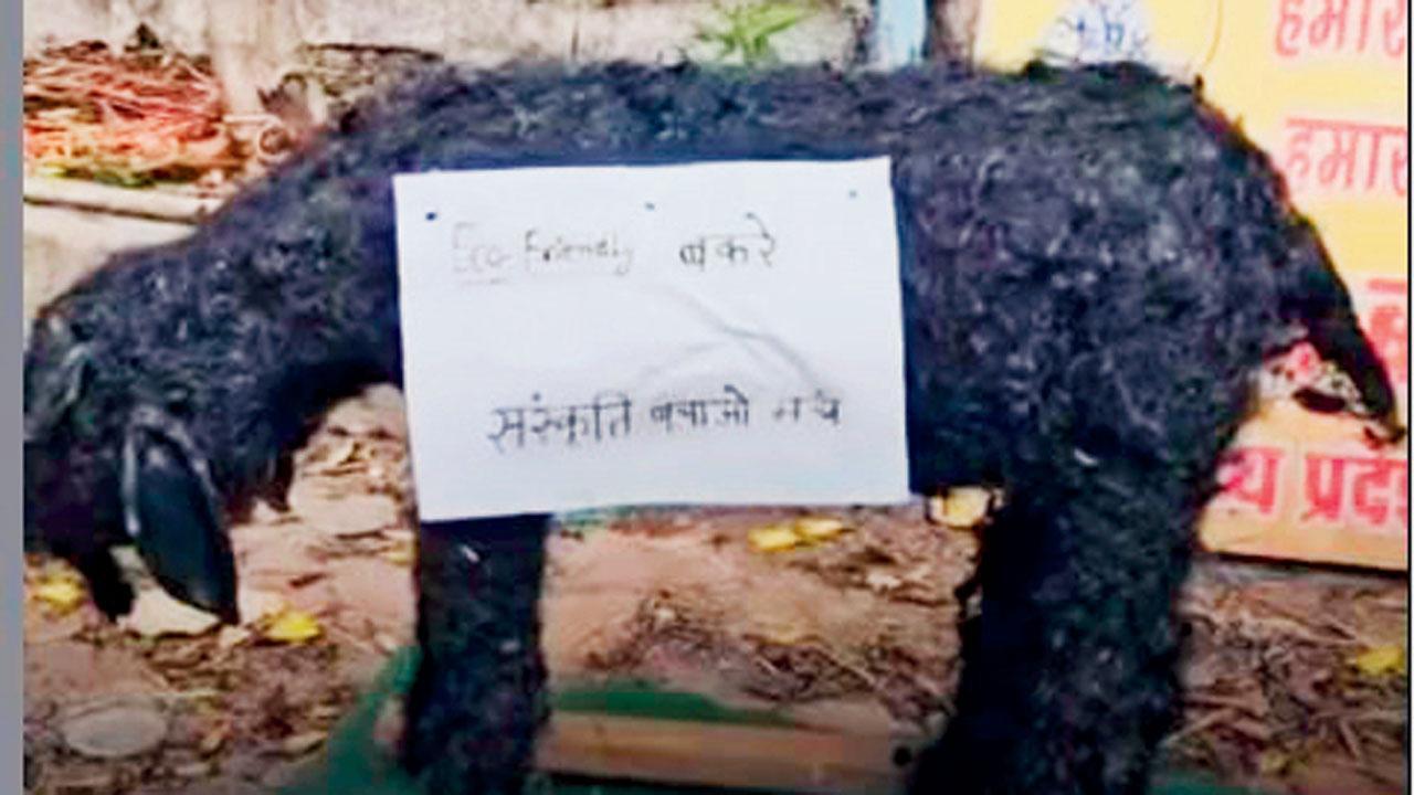 માટીના બકરાનો બલિ ચડાવ્યો