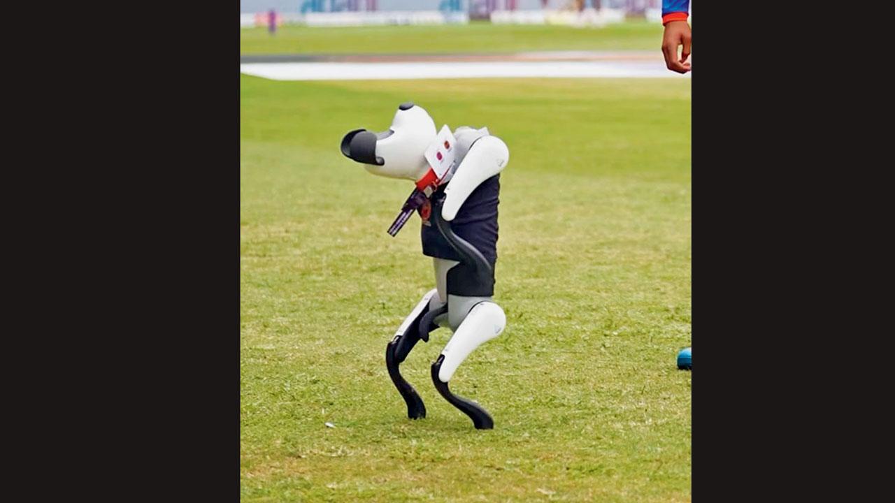 રોબો-ડૉગને ગૂગલી નામ આપવાની જાહેરાત