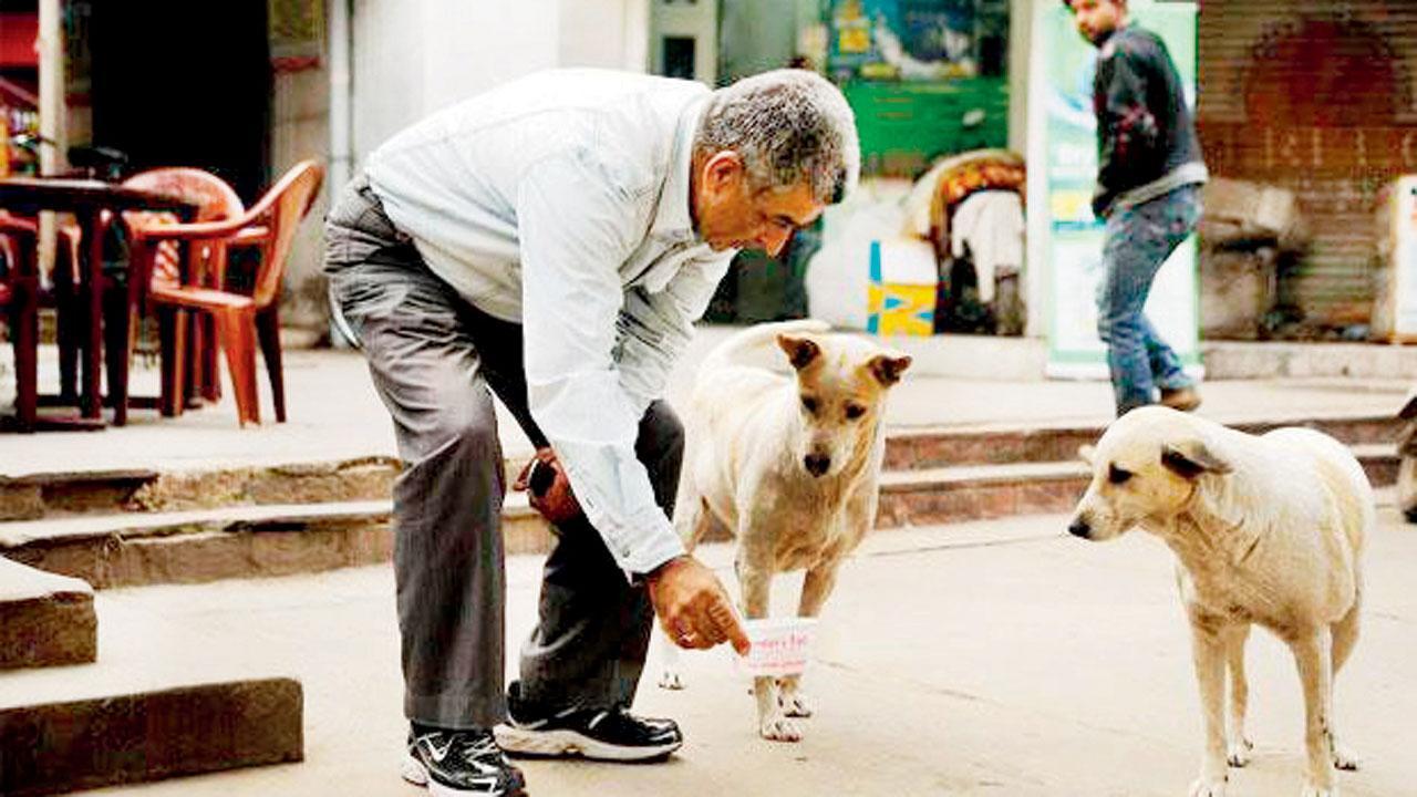 પ્રતીકાત્મક તસવીર