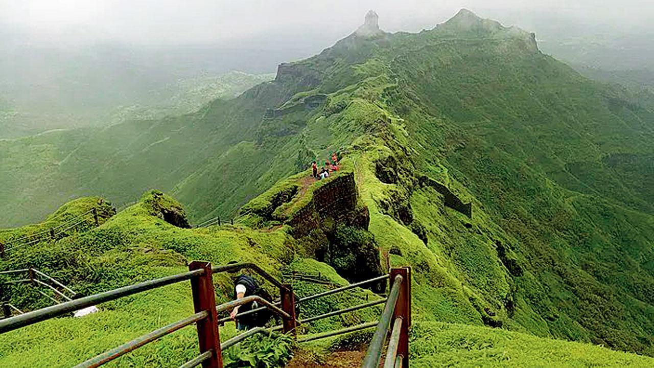 તોરણા ફોર્ટ