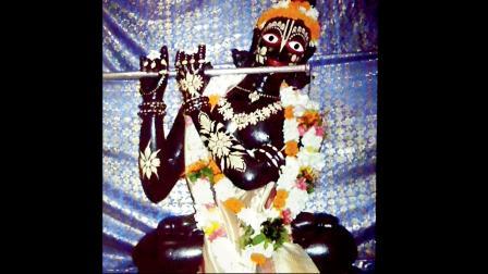 ગોપીનાથનાં દર્શન