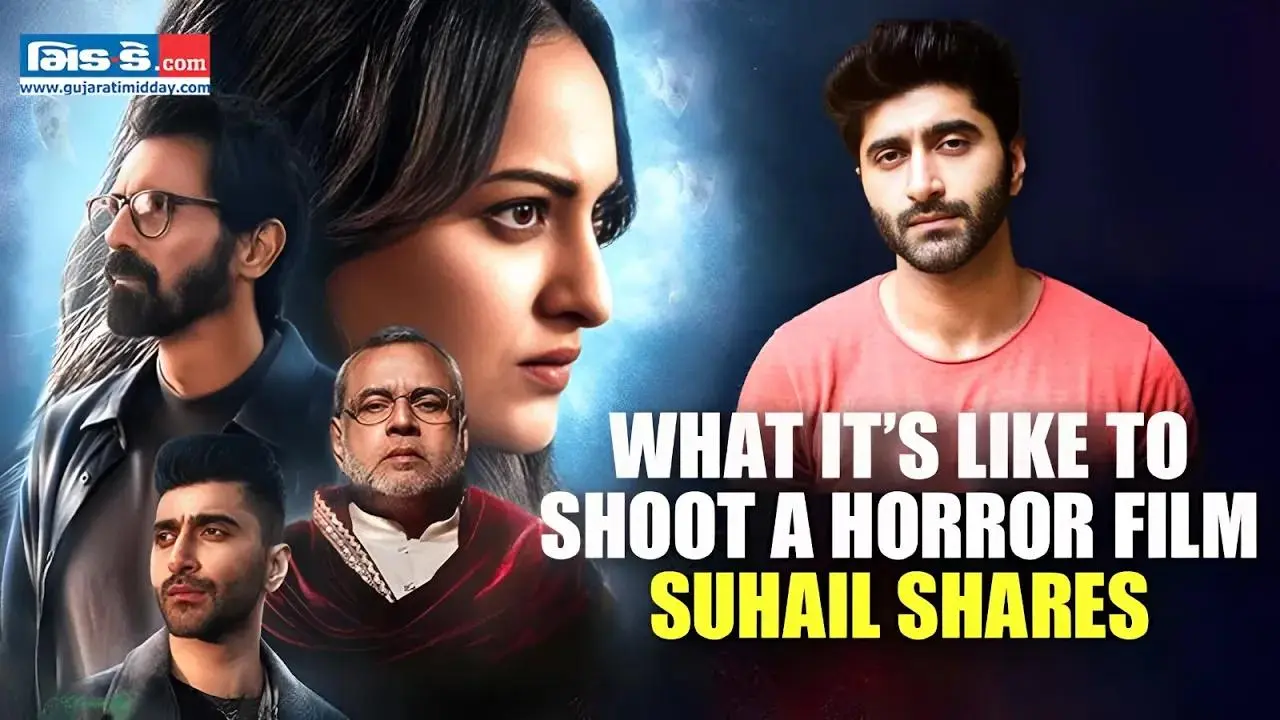 હૉરર, હોપ અને `નિકિતા રૉય` પર સુહેલ નૈય્યરે શું કહ્યું...