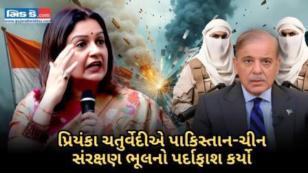 પ્રિયંકા ચતુર્વેદીએ પાકિસ્તાનની ટીકા કરી,આતંક વિરોધી એક્શનમાં ચીનના રડારની...