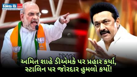 અમિત શાહે ડીએમકે, એમકે સ્ટાલિન પર નિશાન સાધ્યું...