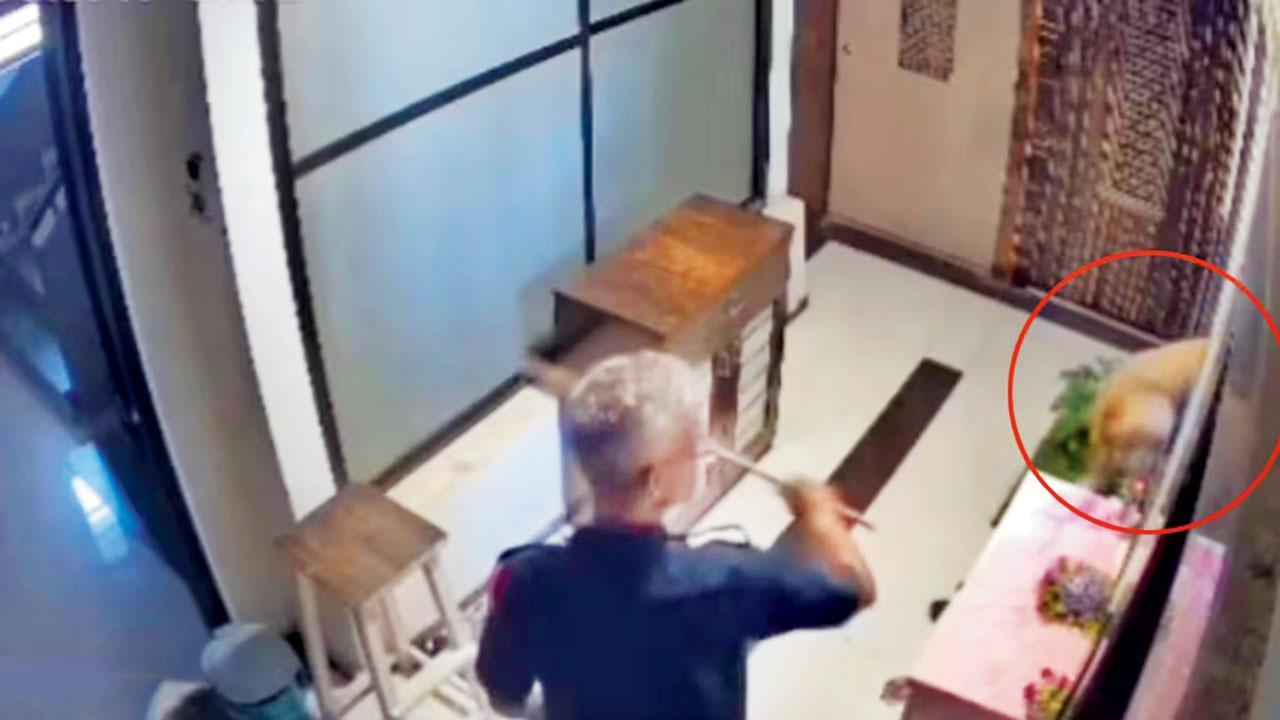 પંદરમા માળે કૂતરાને ભગાડતો વૉચમૅન.