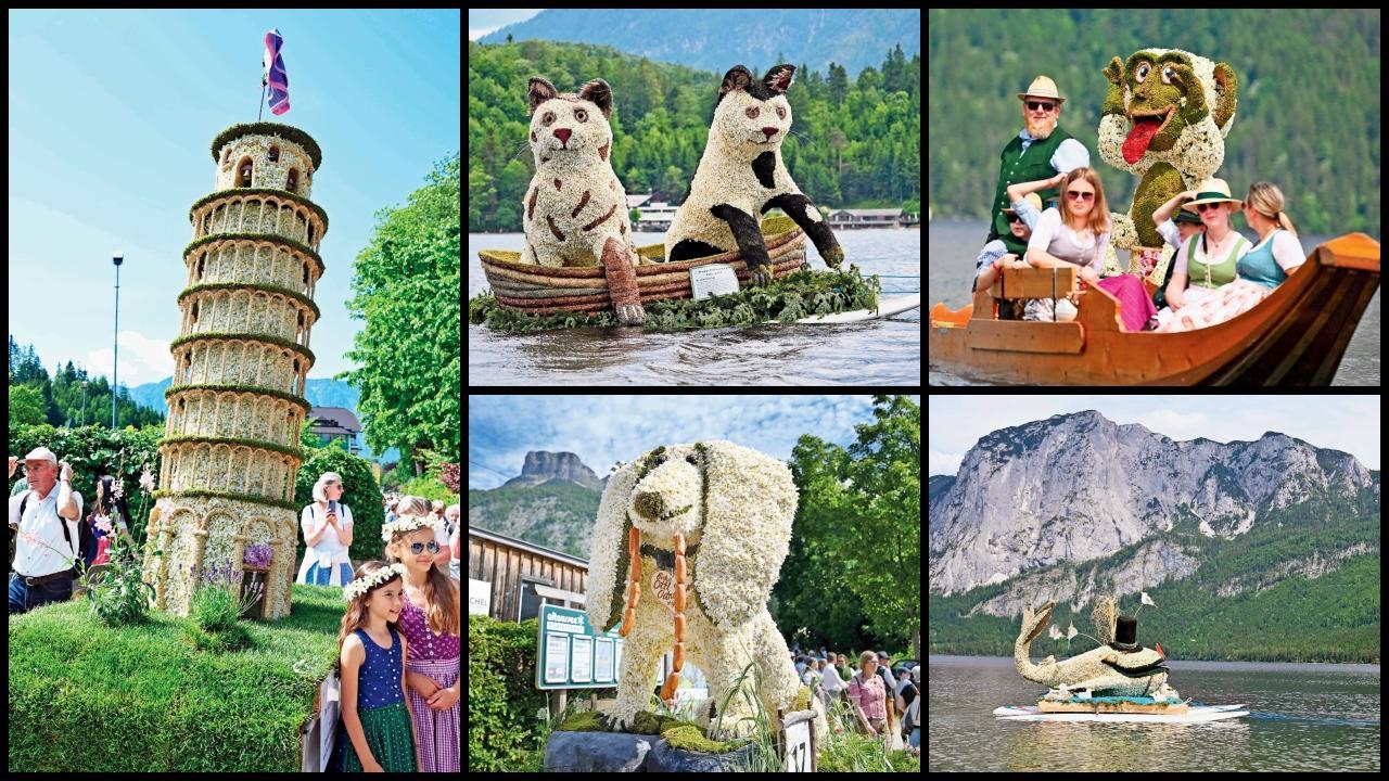 ડૅફડિલ ફેસ્ટિવલ