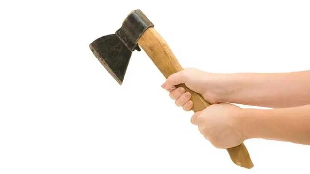 કુહાડી (પ્રતીકાત્મક તસવીર)