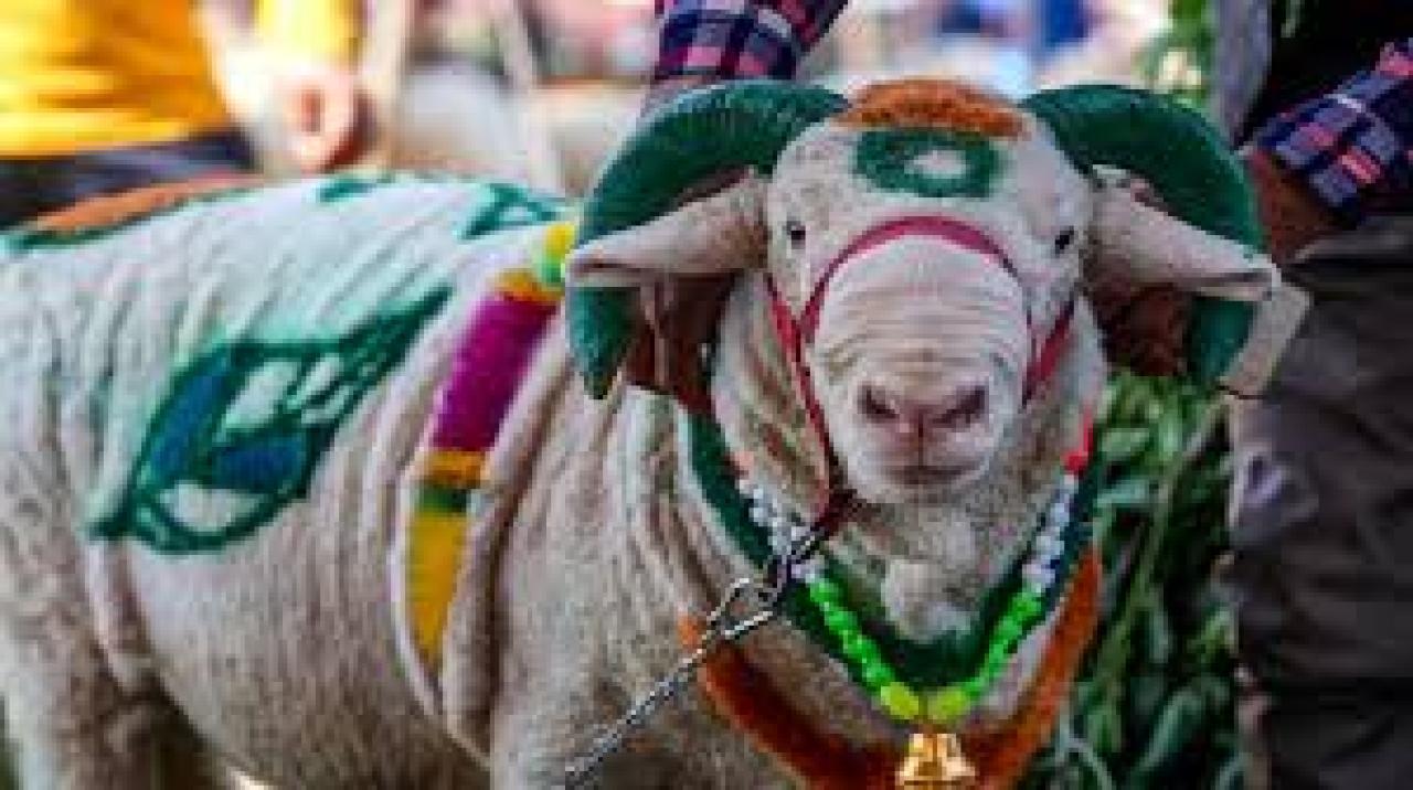 પ્રતીકાત્મક તસવીર