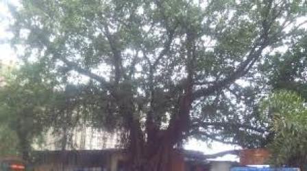 પ્રતીકાત્મક તસવીર