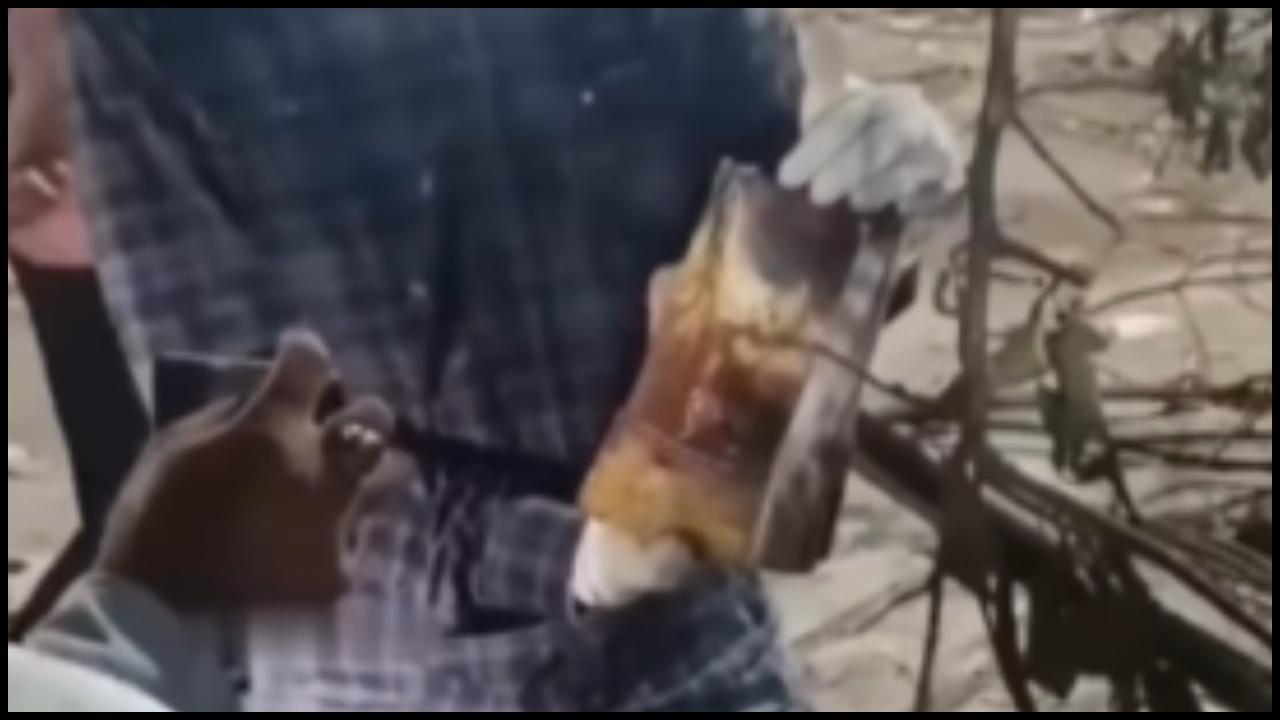 વાયરલ વીડિયોનો સ્ક્રીનગ્રૅબ