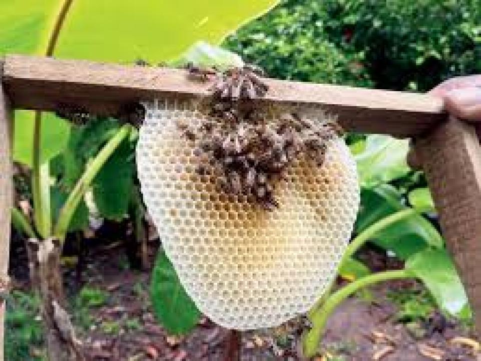 પ્રતીકાત્મક તસવીર