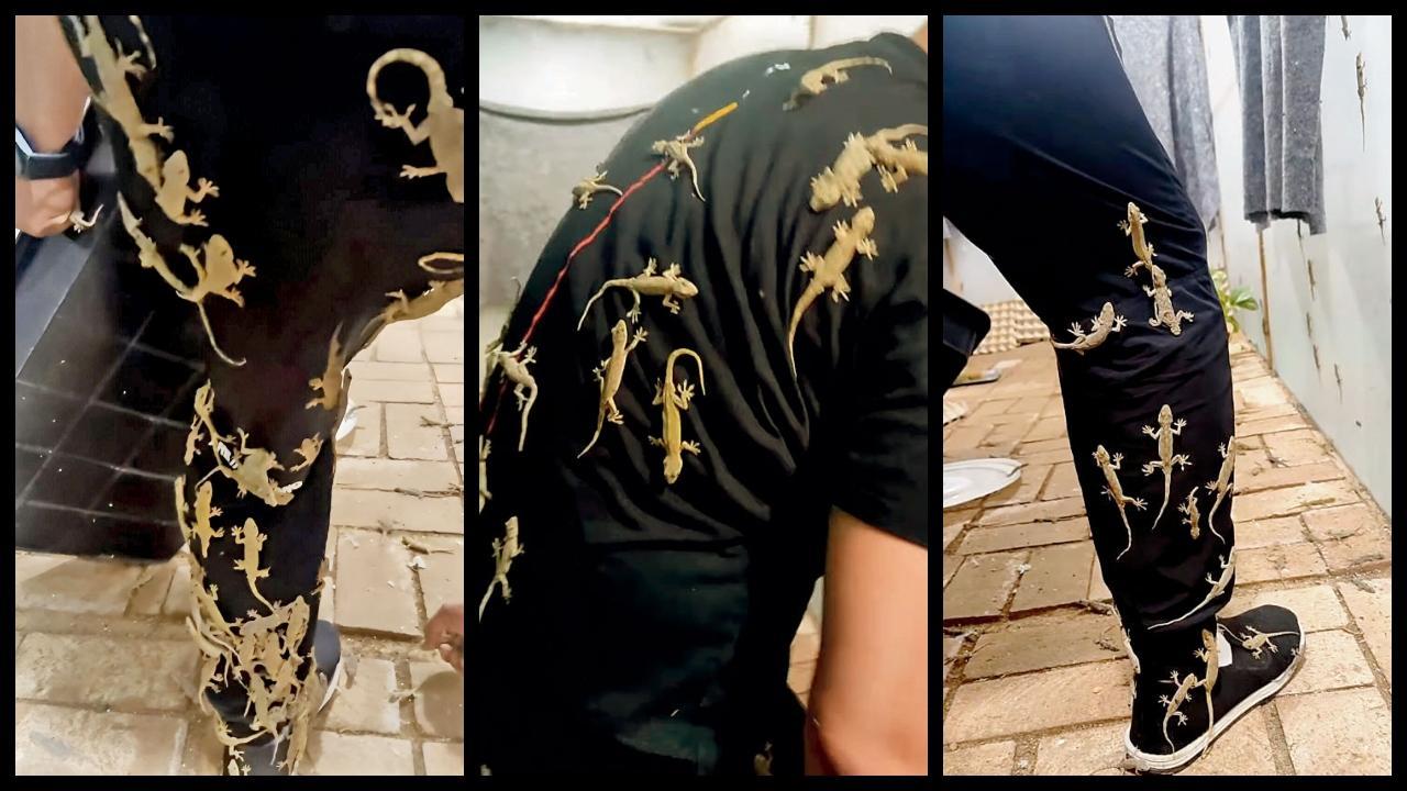 ચીનનો એક બંદો છે જેને ગરોળીનો જરાય ડર લાગતો નથી