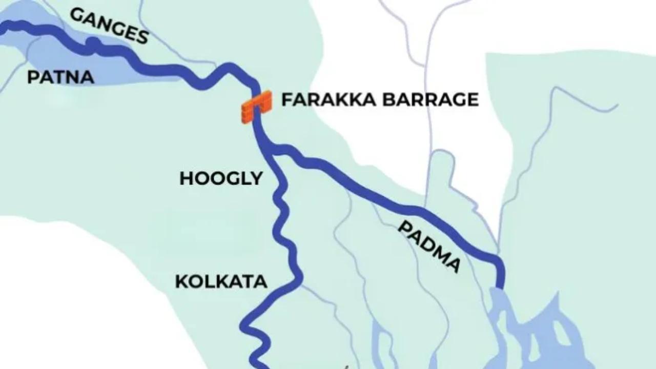 પ્રતીકાત્મક તસવીર (સૌજન્ય: સોશિયલ મીડિયા)