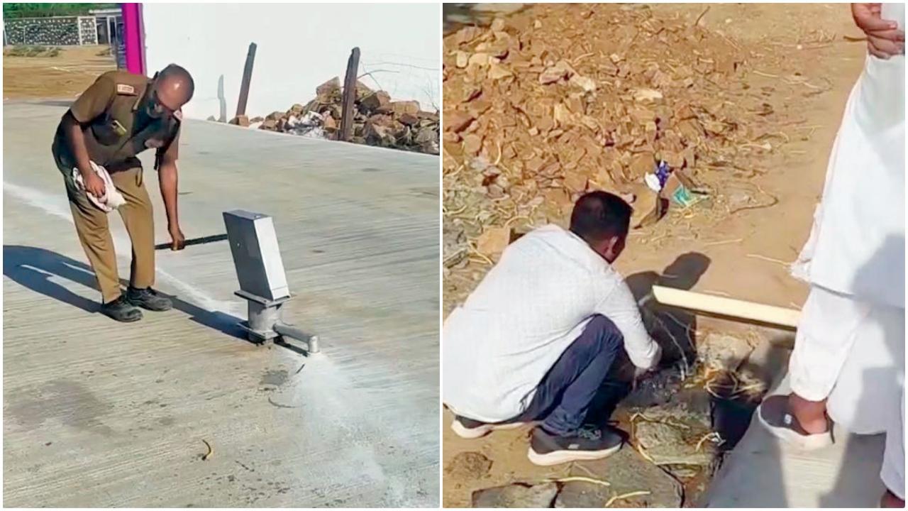 વાયરલ વીડિયોમાંથી સ્ક્રીન શૉટ