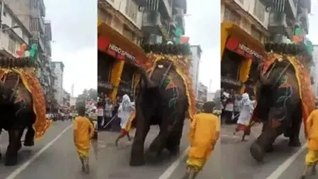 વાયરલ વીડિયોમાંથી સ્ક્રીન શૉટ
