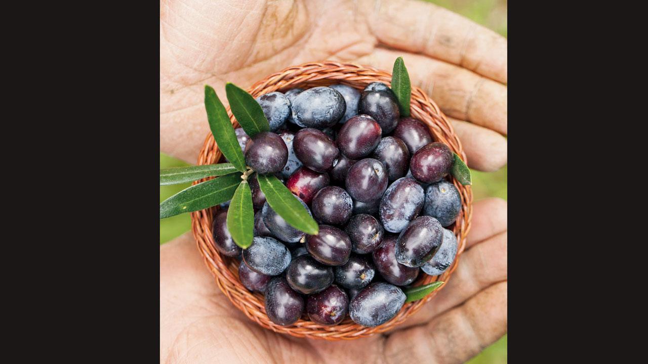 પ્રતીકાત્મક તસવીર