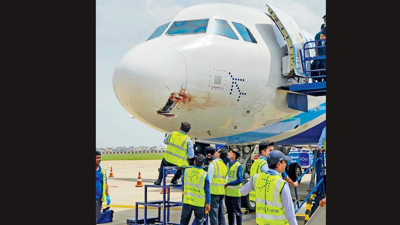 ગીધ ટકરાવાથી ક્ષતિગ્રસ્ત થયેલું વિમાન.