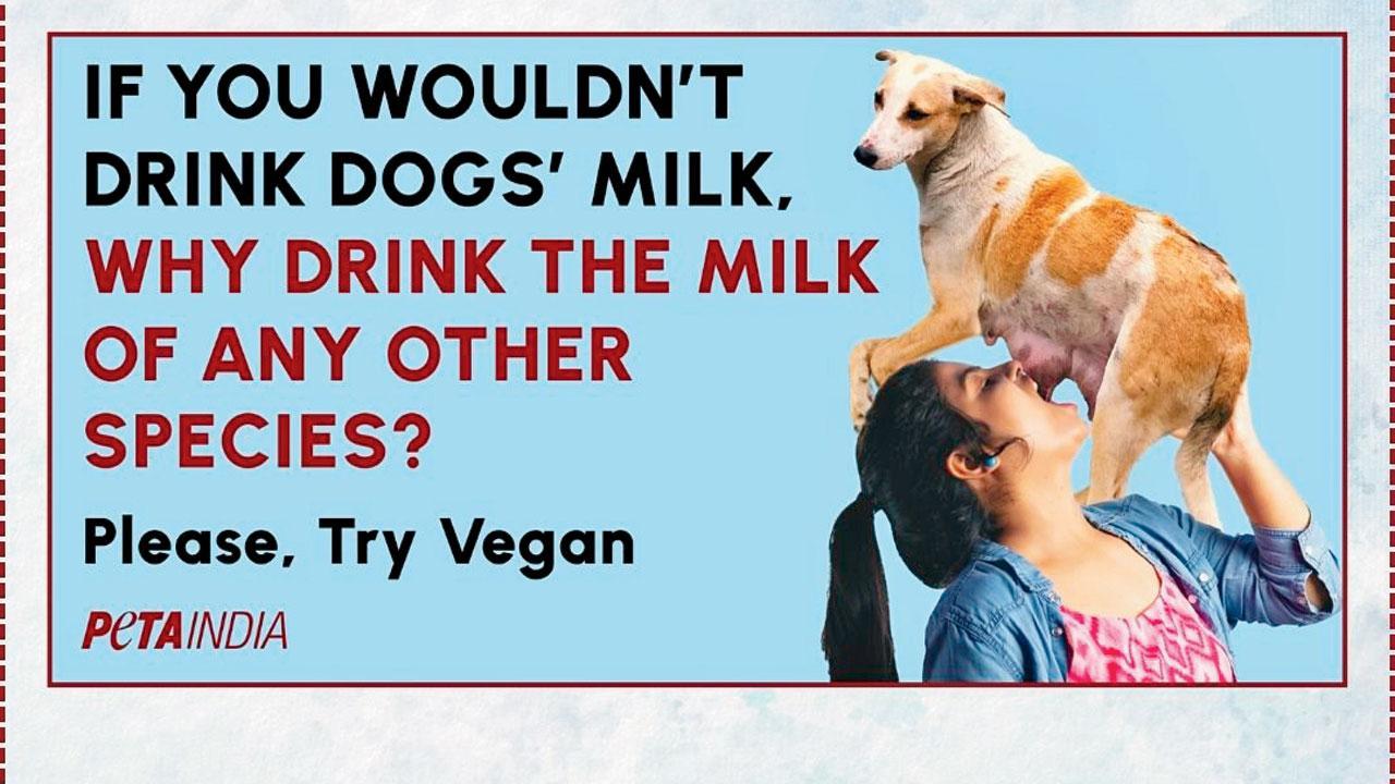 પ્રતીકાત્મક તસવીર