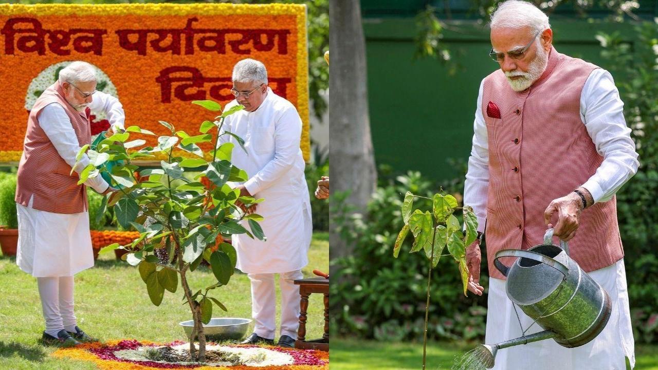 એક પેડ મા કે નામ: વિશ્વ પર્યાવરણ દિવસે PM મોદી દિલ્હીના વનસ્થલી પાર્કની મુલાકાતે એક પેડ મા કે નામ: વિશ્વ પર્યાવરણ દિવસે PM મોદી દિલ્હીના વનસ્થલી પાર્કની મુલાકાતે