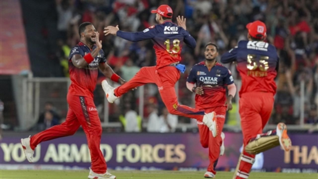 રોયલ ચેલેન્જર્સ બેંગલુરુએ ૬ રનથી જીતી IPL 2025ની ફાઇનલ (તસવીર સૌજન્યઃ પીટીઆઇ)