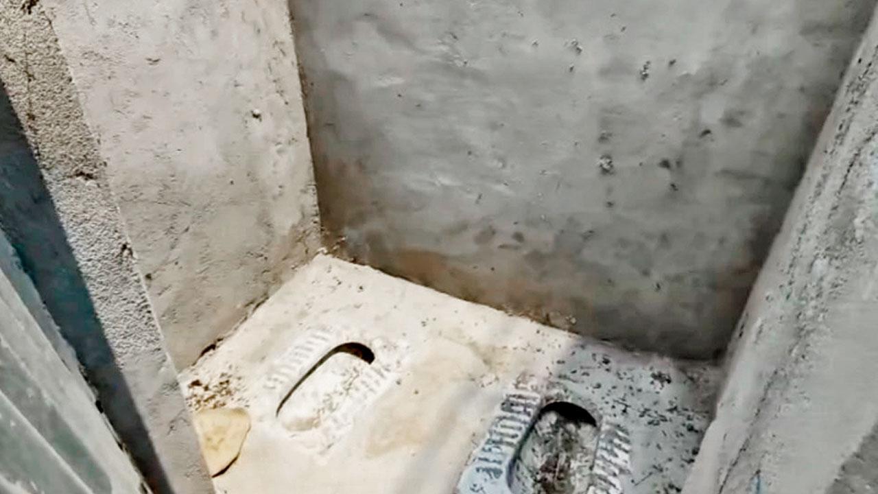 એક જ ટૉઇલેટમાં બે કમોડ