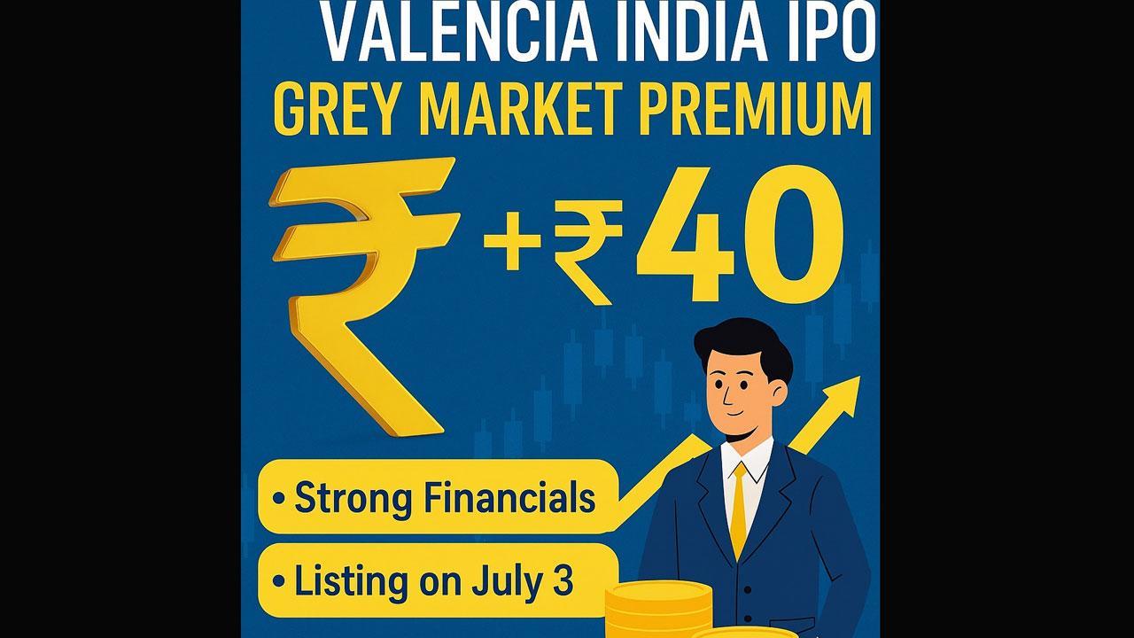 વેલેન્સિયા ઇન્ડિયા આઈપીઓ