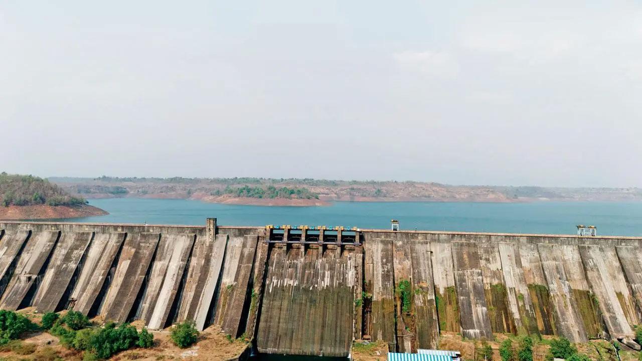 પ્રતીકાત્મક તસવીર