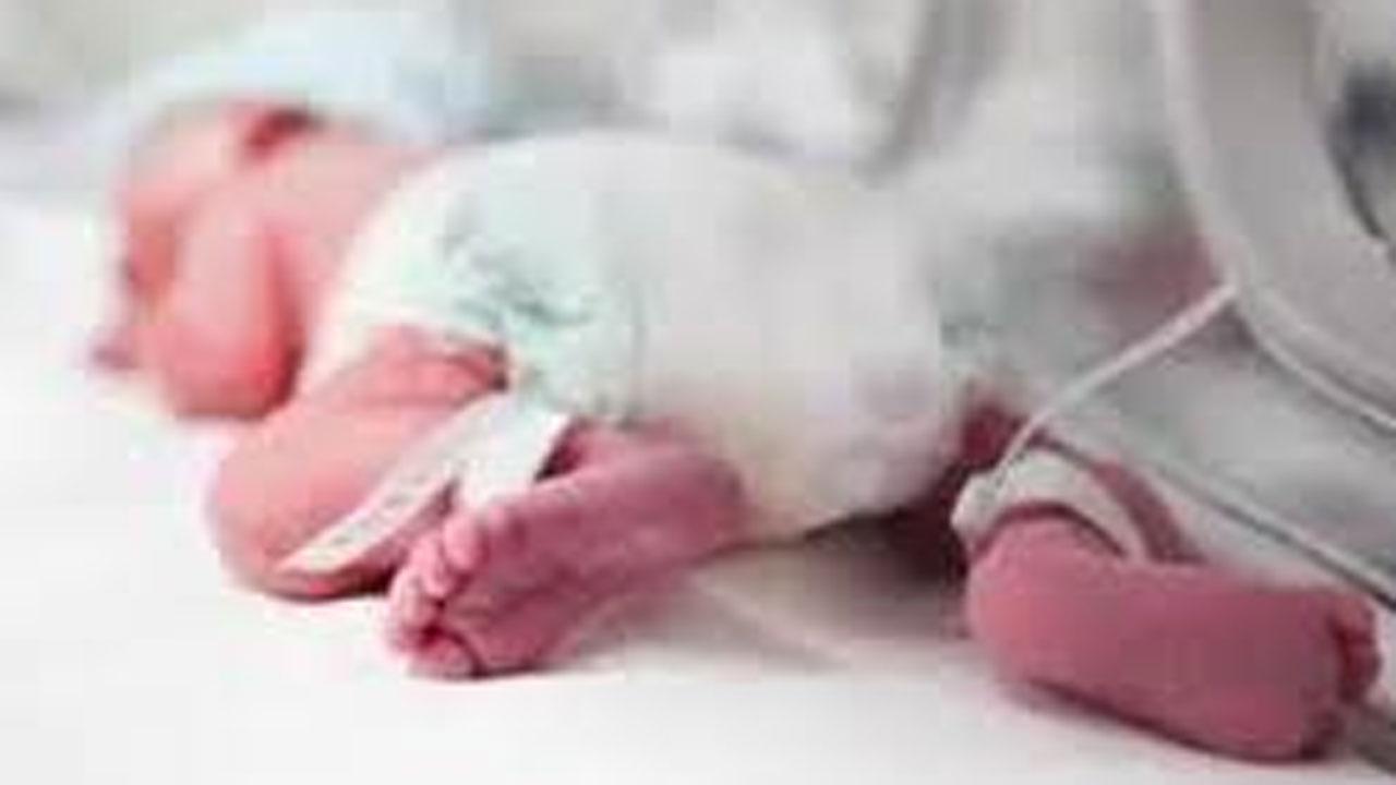 પ્રતીકાત્મક તસવીર