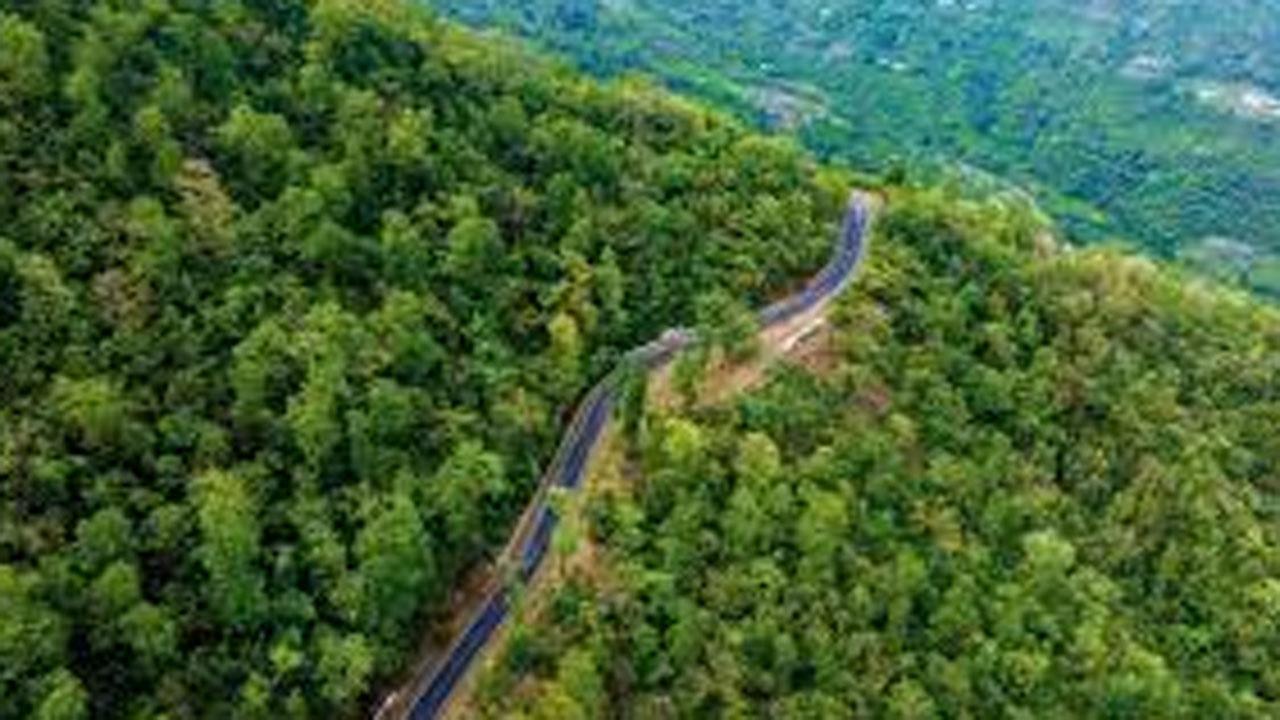 પ્રતીકાત્મક તસવીર