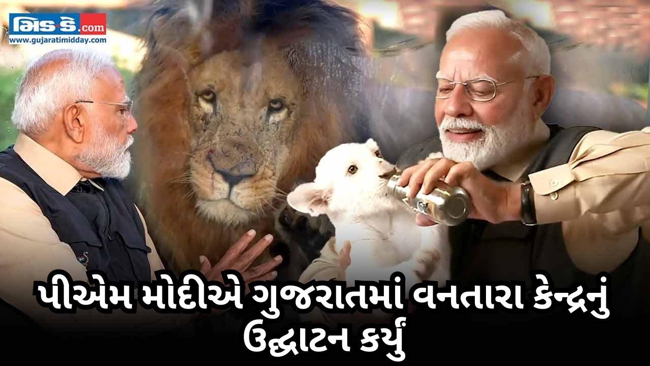 પીએમ મોદીએ વનતારામાં પશુ બચાવ કેન્દ્રનું ઉદ્ઘાટન કર્યું