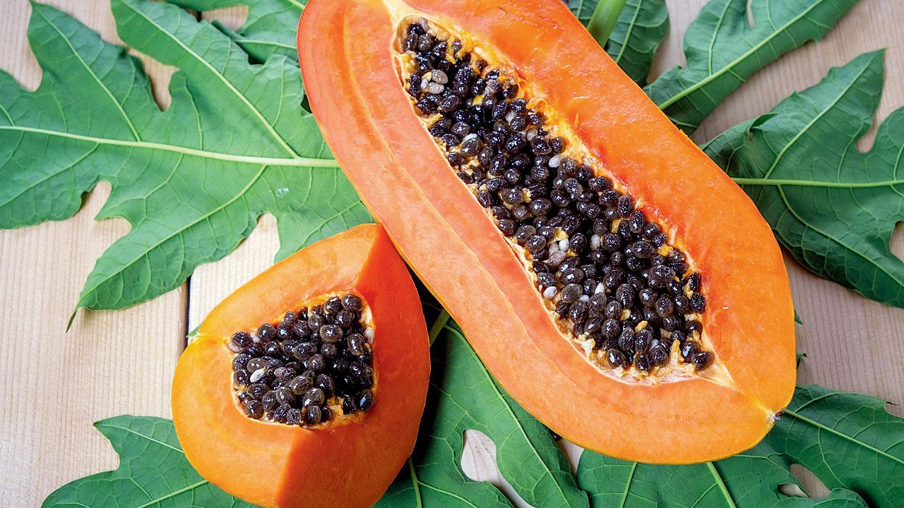 પ્રતીકાત્મક તસવીર