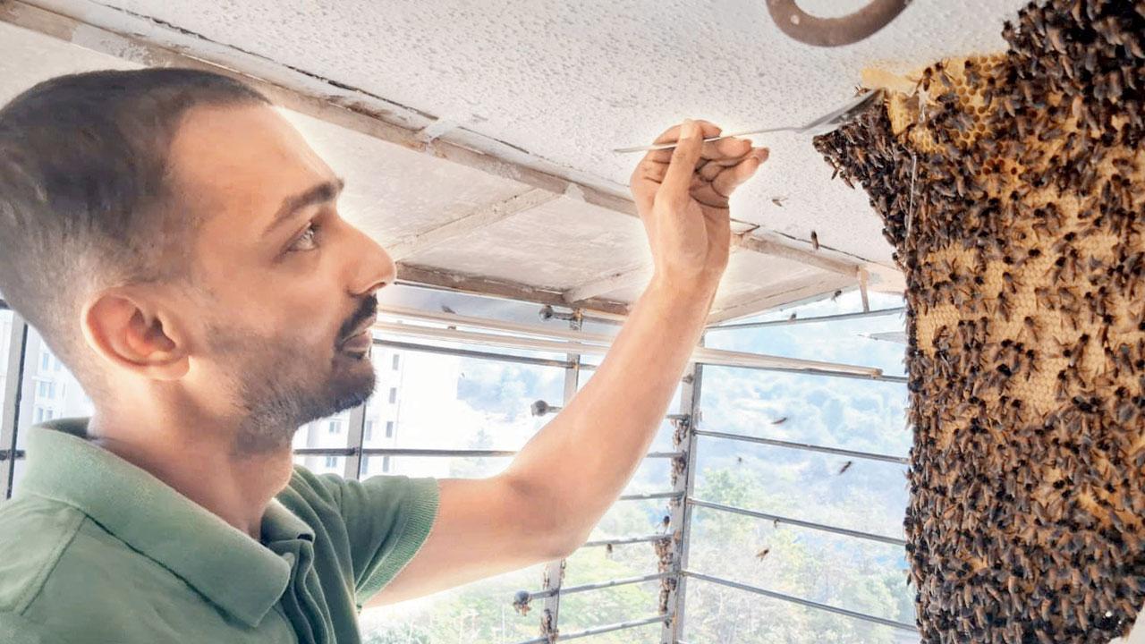 મધપૂડાને રિલોકેટ કરતો અંકિત વ્યાસ