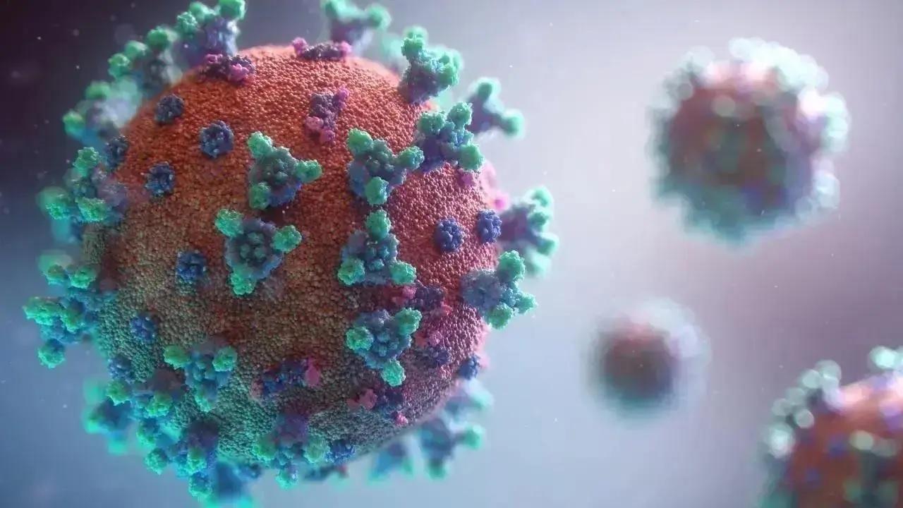 કોરોનાવાયરસની ફાઈલ તસવીર
