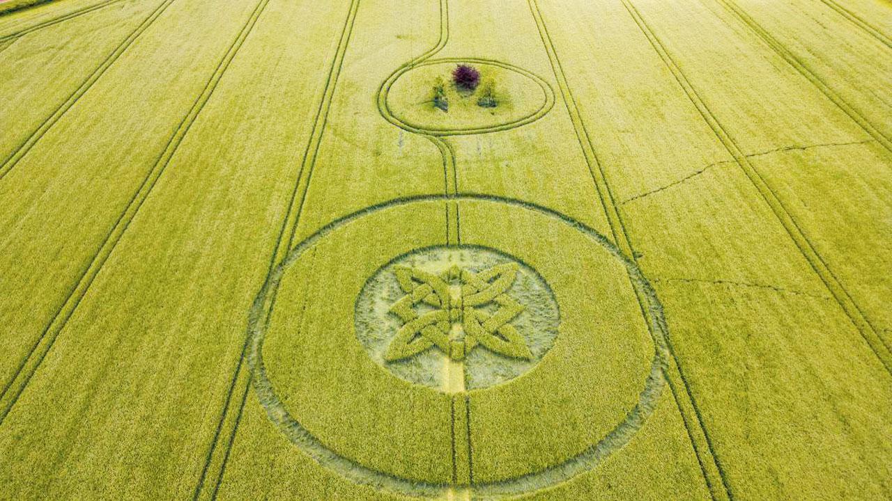 બ્રિટનના વિલ્ટશાયરમાં અનેક વાર ઊભા પાકમાં મોટી ડિઝાઇનો બની ગયેલી જોવા મળે છે.
