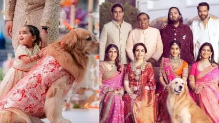 અંબાણી પરિવારના આ સભ્યએ દુનિયાને કહ્યું અલવિદા, અનંત પર દુઃખના ડુંગર તૂટી પડ્યા