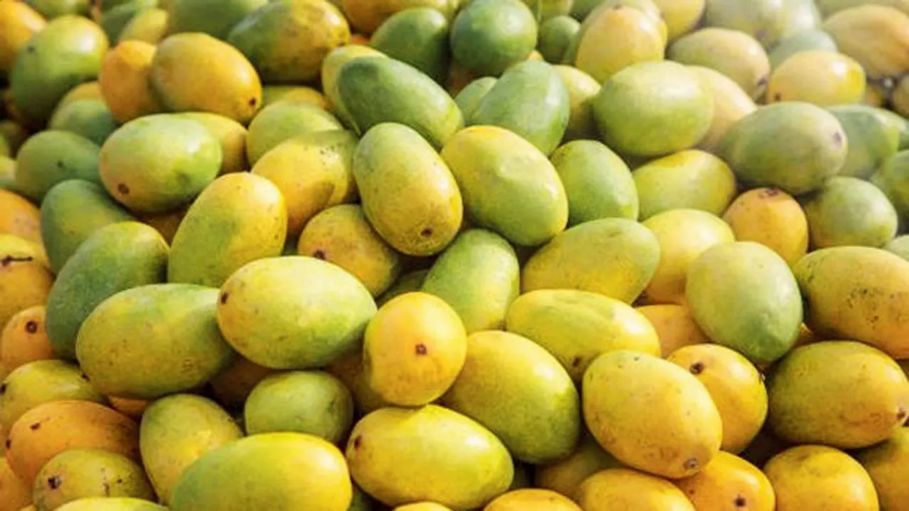 પ્રતીકાત્મક તસવીર