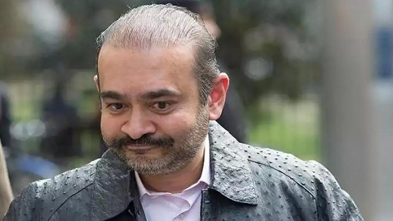 નીરવ મોદીની ફાઇલ તસવીર