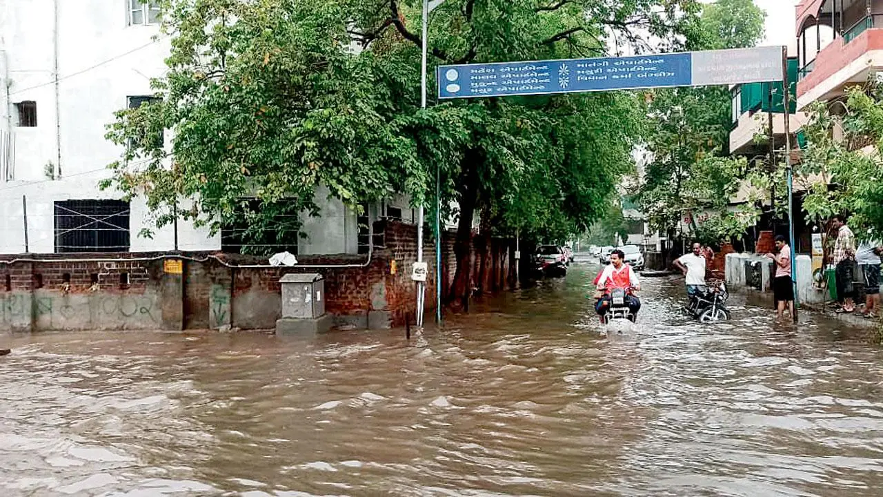 ગુજરાતમાં આફતનો કમોસમી વરસાદ રોકાતો જ નથી