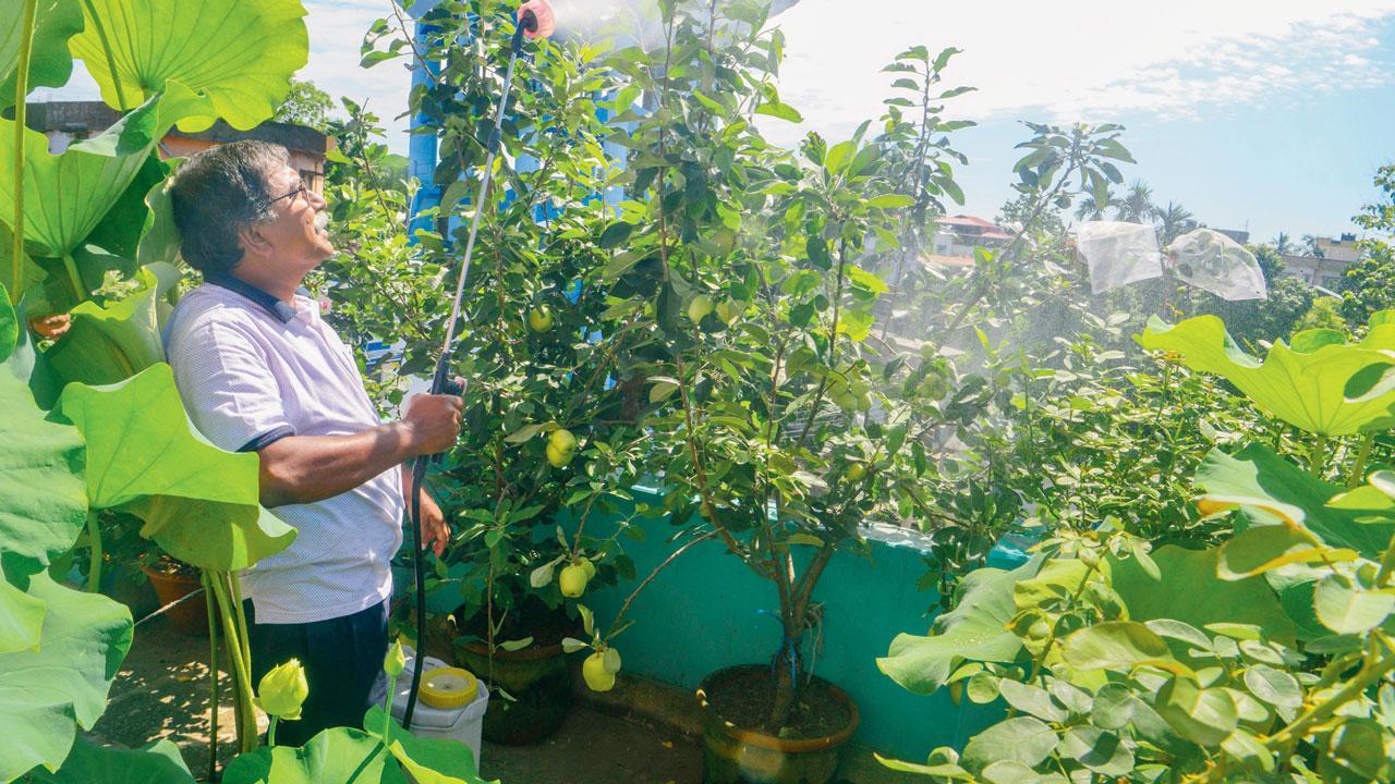 તસવીર સૌજન્ય : સોશ્યલ મીડિયા