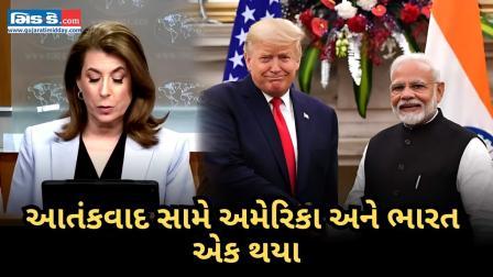 આતંકવાદ સામેની લડાઈમાં અમેરિકાએ  ભારતને ટેકો આપ્યો