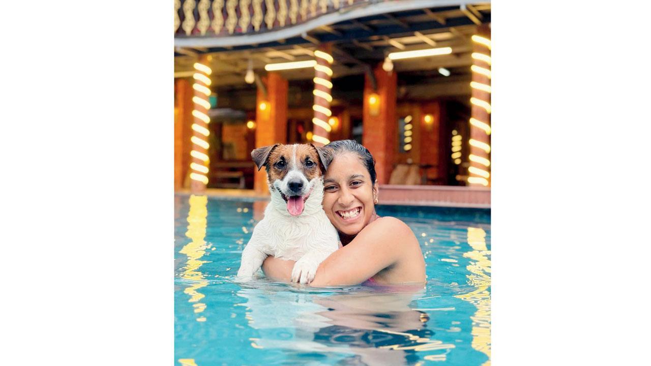 જોઈ લો આ તસવીર